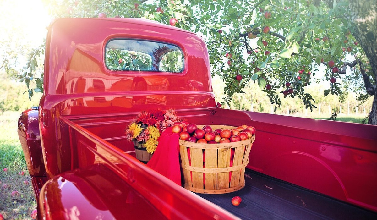 Choosing Apple Varieties for a Mixed Russet Crop